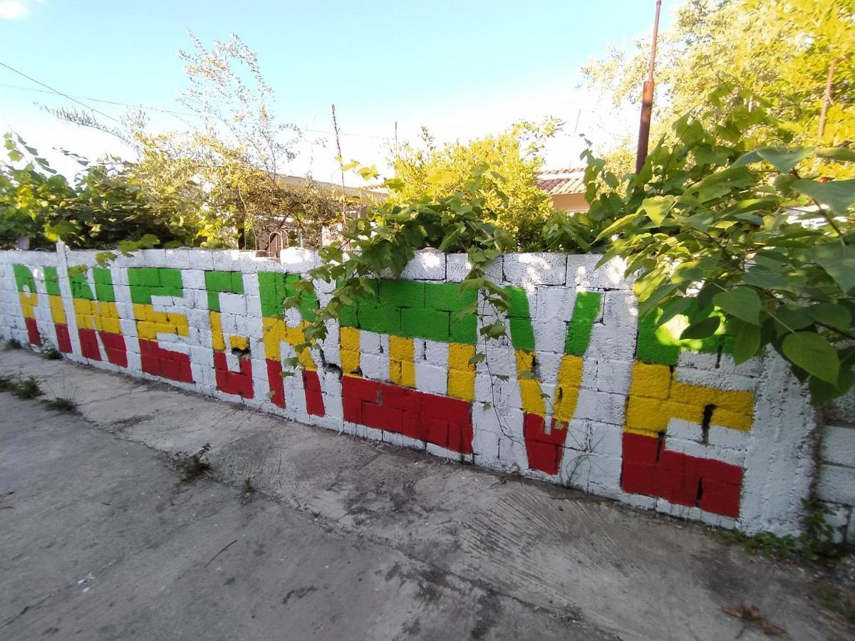 Pinegroove Hostel Vlora Bagian luar foto
