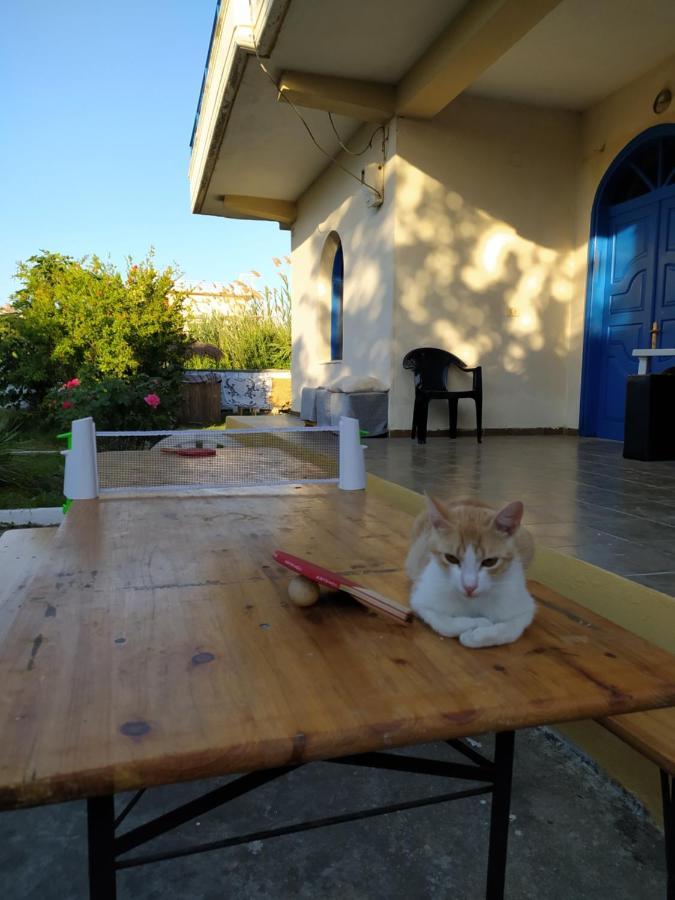 Pinegroove Hostel Vlora Bagian luar foto