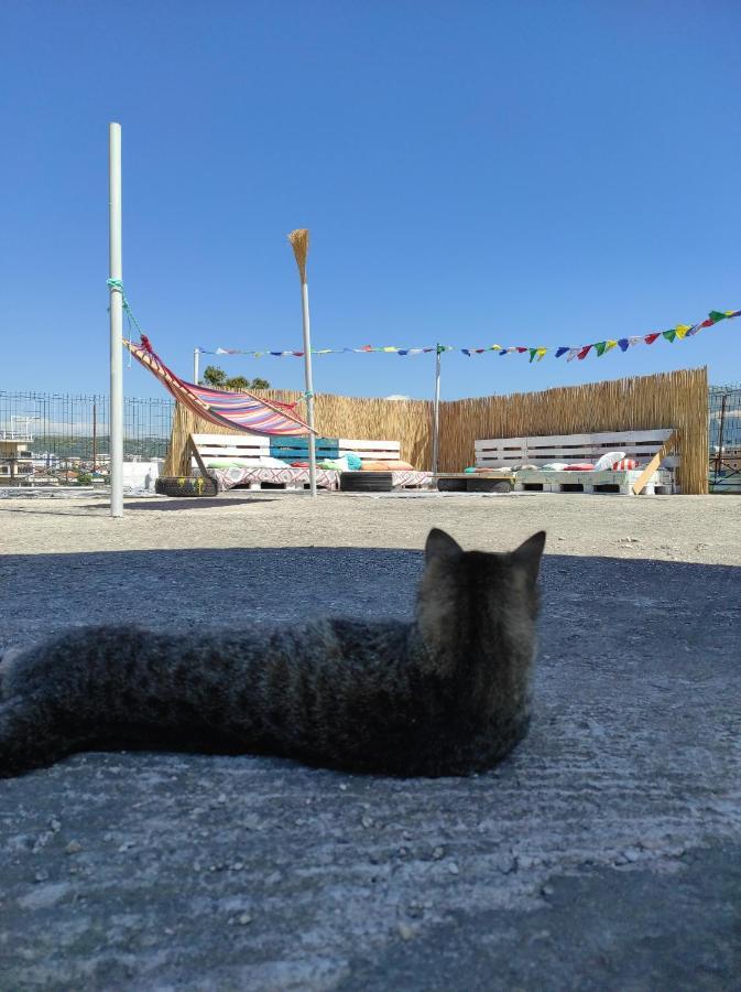 Pinegroove Hostel Vlora Bagian luar foto