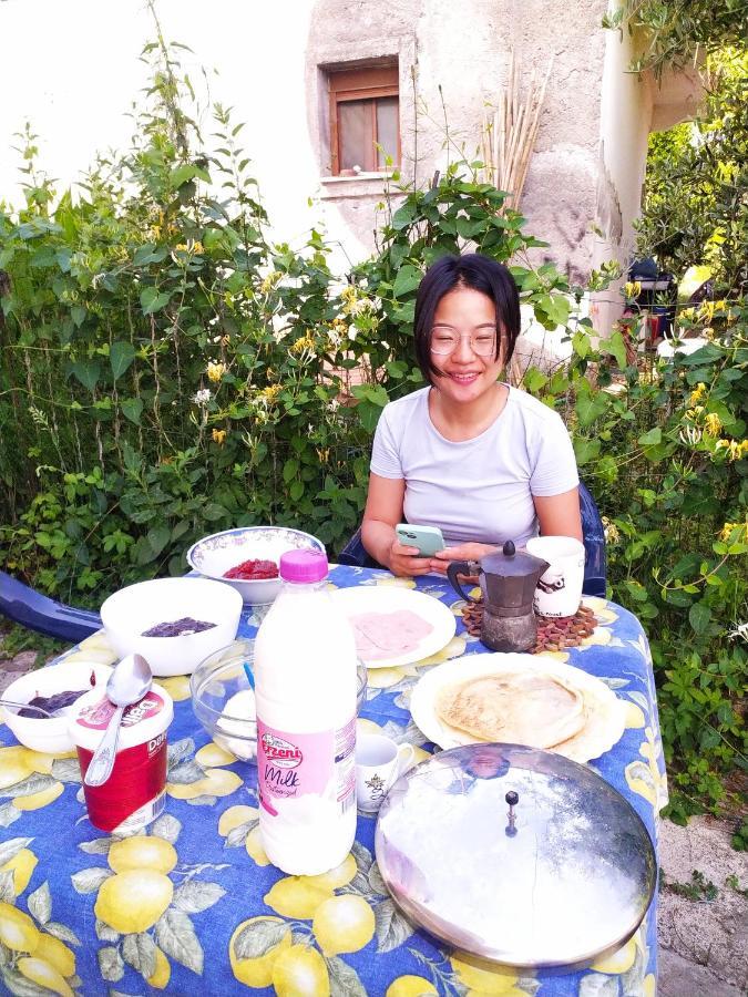 Pinegroove Hostel Vlora Bagian luar foto