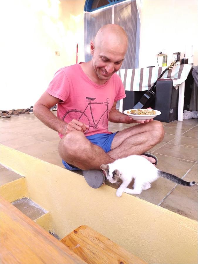 Pinegroove Hostel Vlora Bagian luar foto